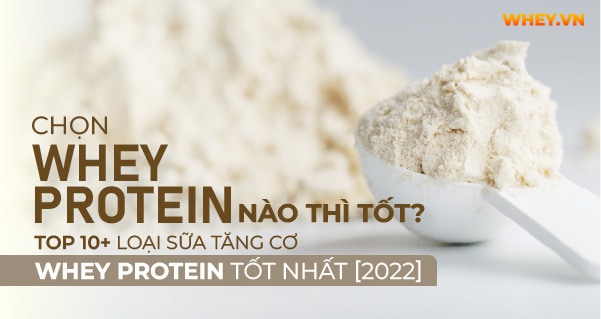top-5-loai-sua-tang-co-whey-protein