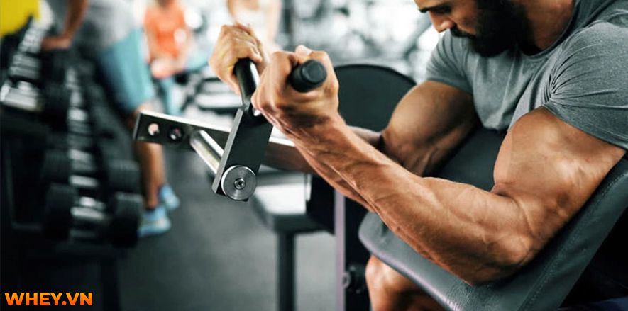 Chi tiết 9 lịch tập gym tăng cơ giảm mỡ cho người mới tập của Wheyshop, hy vọng giúp các bạn tập luyện hiệu quả hơn và nhanh giúp bạn đạt được mục tiêu ...