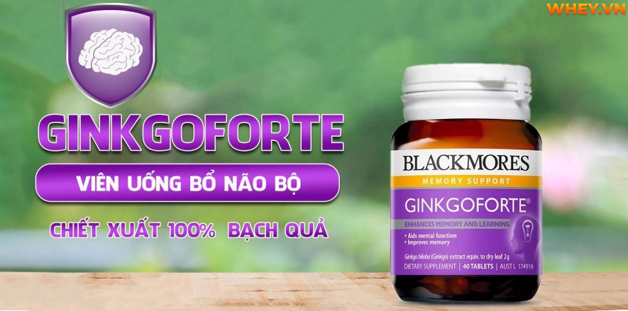 Công dụng và cách sử dụng của loại dược liệu “thần thánh” Ginkgo Biloba như thế nào? WheyShop mời bạn tham khảo chi tiết hơn qua bài viết.....