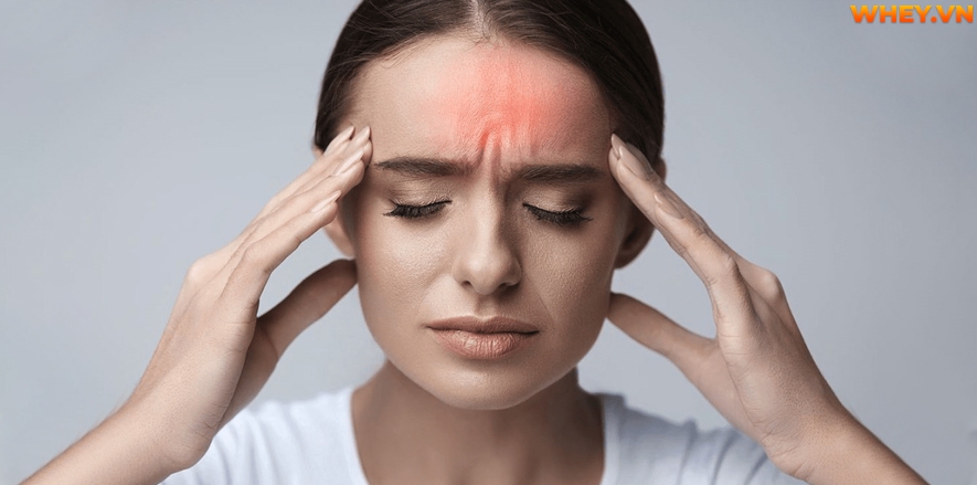Công dụng và cách sử dụng của loại dược liệu “thần thánh” Ginkgo Biloba như thế nào? WheyShop mời bạn tham khảo chi tiết hơn qua bài viết.....
