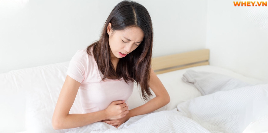 Công dụng và cách sử dụng của loại dược liệu “thần thánh” Ginkgo Biloba như thế nào? WheyShop mời bạn tham khảo chi tiết hơn qua bài viết.....