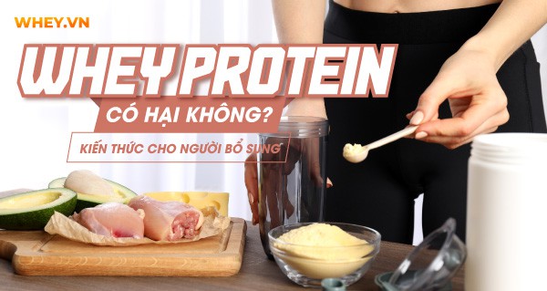 bo-sung-whey-protein-co-hai-khong
