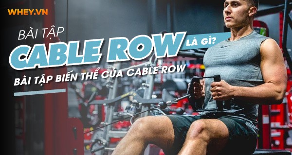 cable-row-va-cac-bai-tap-bien-the