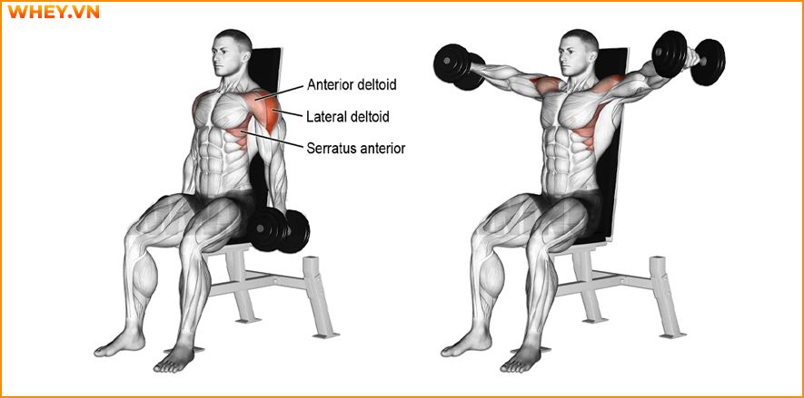 Tham khảo lịch tập gym cho nam dành cho người mới bắt đầu qua bài viết của WheyShop dưới đây để tập luyện hiệu quả hơn mỗi ngày ...