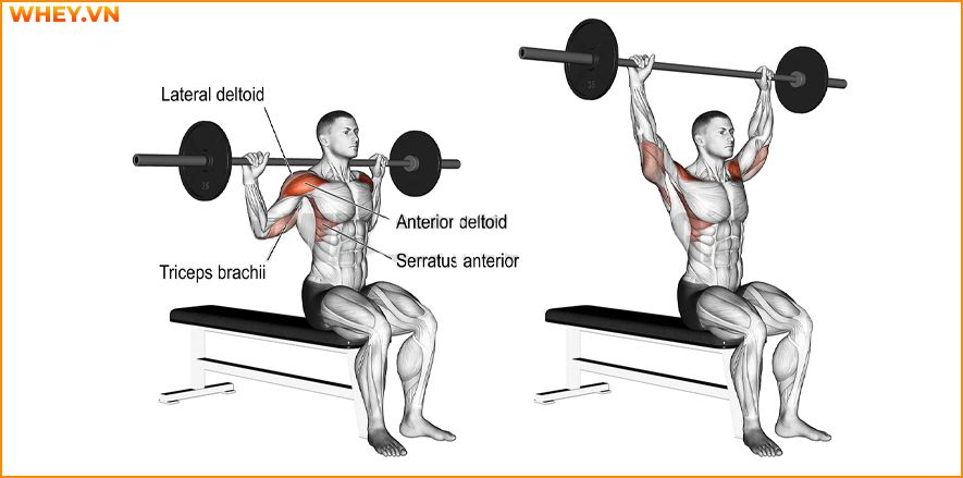 Tham khảo lịch tập gym cho nam dành cho người mới bắt đầu qua bài viết của WheyShop dưới đây để tập luyện hiệu quả hơn mỗi ngày ...