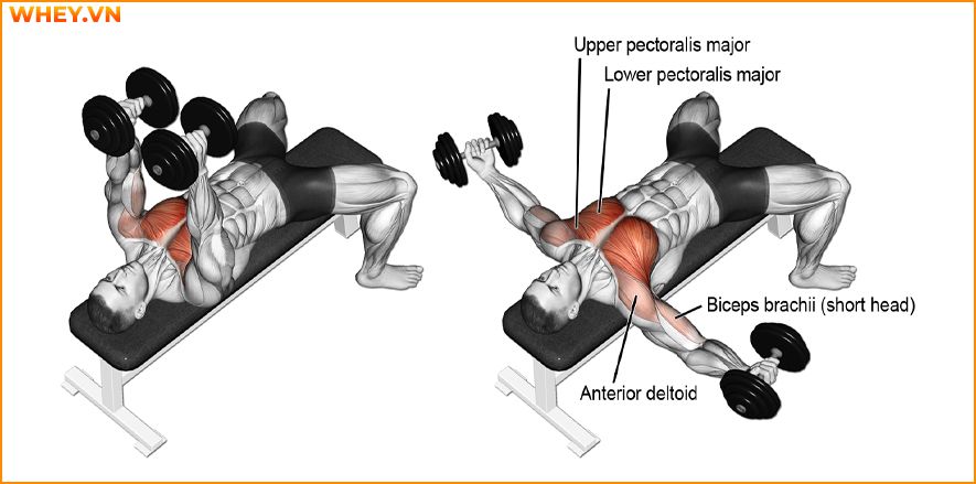Tham khảo lịch tập gym cho nam dành cho người mới bắt đầu qua bài viết của WheyShop dưới đây để tập luyện hiệu quả hơn mỗi ngày ...