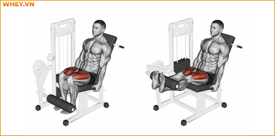 Tham khảo lịch tập gym cho nam dành cho người mới bắt đầu qua bài viết của WheyShop dưới đây để tập luyện hiệu quả hơn mỗi ngày ...