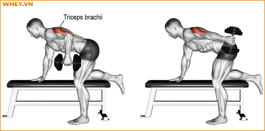 Tham khảo lịch tập gym cho nam dành cho người mới bắt đầu qua bài viết của WheyShop dưới đây để tập luyện hiệu quả hơn mỗi ngày ...