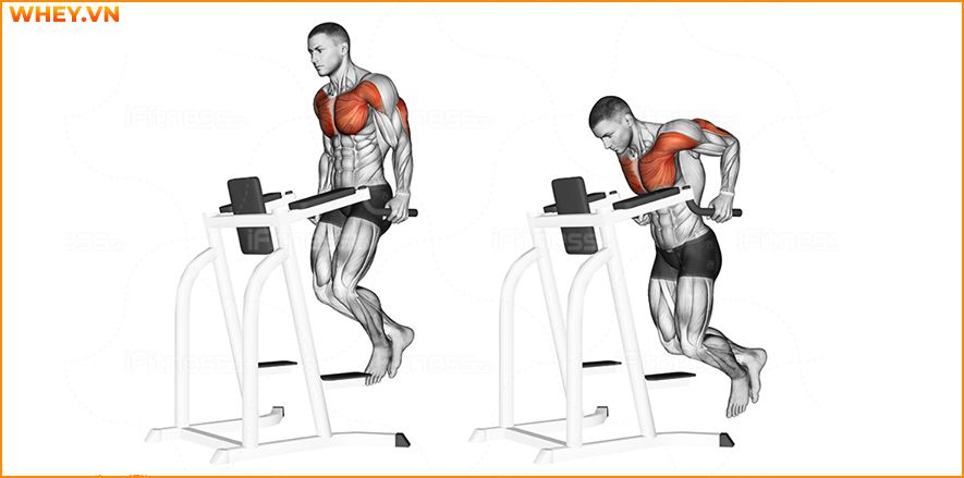 Tham khảo lịch tập gym cho nam dành cho người mới bắt đầu qua bài viết của WheyShop dưới đây để tập luyện hiệu quả hơn mỗi ngày ...