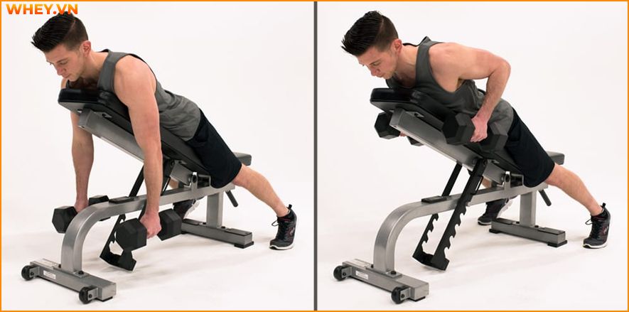 Tham khảo lịch tập gym cho nam dành cho người mới bắt đầu qua bài viết của WheyShop dưới đây để tập luyện hiệu quả hơn mỗi ngày ...