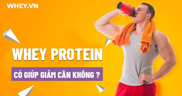 Whey Protein có giúp giảm cân không? WheyShop sẽ giúp bạn trả lời câu hỏi này thông qua chi tiết của bài viết dưới đây, mời các bạn tham khảo....