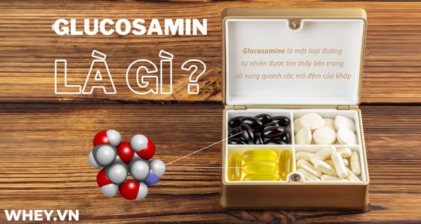 Bạn có biết Glucosamine là gì và những lợi ích bổ sung Glucosamine 500mg là gì chưa? WheyShop xin đước chia sẻ thông tin này qua nội dung bài viết....