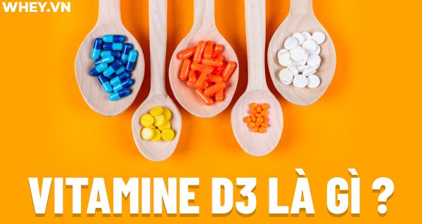 Vitamine D3 là gì ?Bạn có đang bổ sung đúng cách Vitamine D3 , tham khảo thêm nội dung bài viết dưới đây để biết thêm thông tin kiến thức về Vitamine D3 nhé!