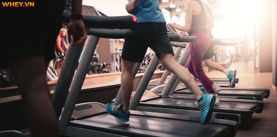 Nên chạy bộ trước hay sau khi tập gym thì hợp lý  và đảm bảo sức khỏe cho cơ thể? Nội dung dưới đây của WheyShop sẽ giúp bạn trả lời thắc mắc này....