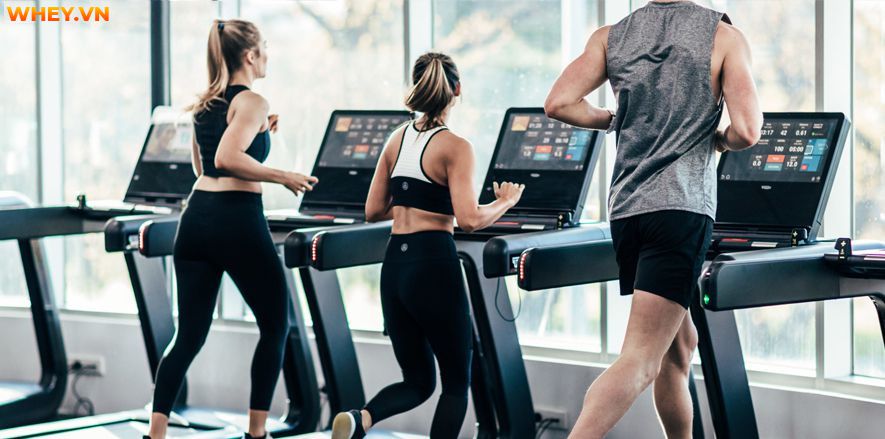 Nên chạy bộ trước hay sau khi tập gym thì hợp lý  và đảm bảo sức khỏe cho cơ thể? Nội dung dưới đây của WheyShop sẽ giúp bạn trả lời thắc mắc này....