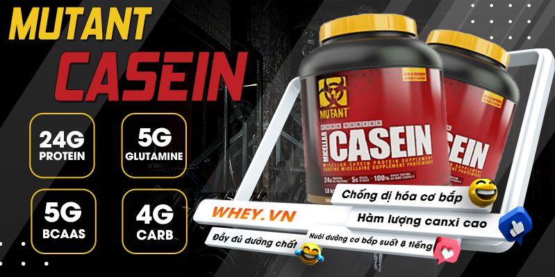 Mutant Casein 4lbs cung cấp bổ sung protein hấp thu chậm giúp phát triển cơ bắp, nuôi cơ ban đêm. Thúc đẩy sự tổng hợp protein để phát triển cơ....