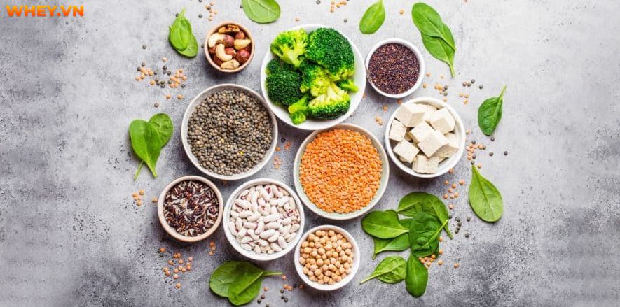 Có nên dùng Protein thực vật thay thế Protein động vật? Wheyshop mời bạn tham khảo nội dung bài viết cùng Top 40 thực phẩm giàu protein thực vật nên bổ sung...
