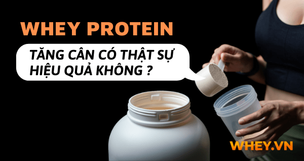 Whey protein tăng cân có thật sự hiệu quả không ? Có lẽ đây là sự nhầm lẫn của rất nhiều bạn. Chúng ta hãy cùng tìm hiểu qua nội dung bài viết dưới đây....