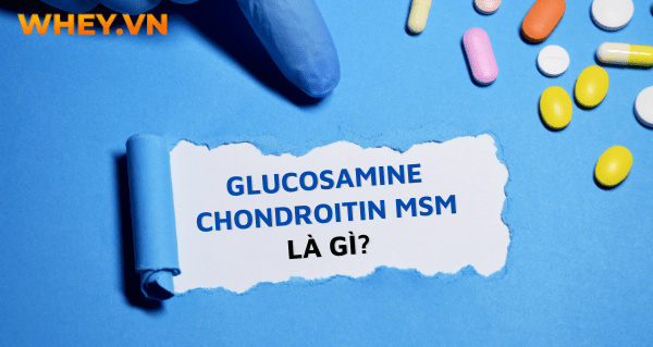 Glucosamine chondroitin msm là gì? tái bảo bảo vệ xương khớp nên bổ sung Glucosamine chondroitin msm ? Wheyshop mời bạn tham khảo nội dung bài viết.....