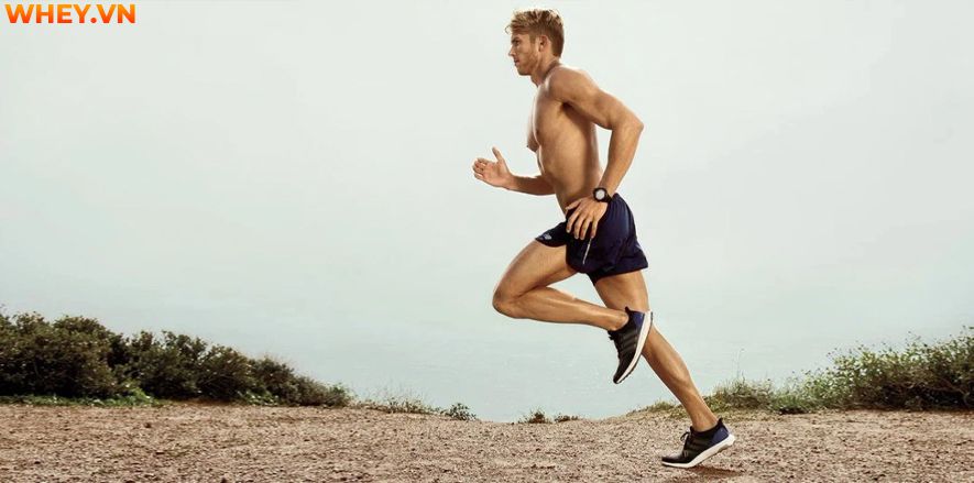 Dưới đây là 6 nguyên nhân khiến khi chạy bị đau bụng trái cùng cách khắc phục khi chạy bị đau bụng trái được WheyShop tổng hợp, mời các bạn tham khảo....