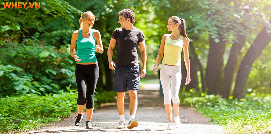 Tốc độ đi bộ trung bình và kỹ năng đi bộ như thế nào được coi là phù hợp với sức khỏe ? Nội dung bài viết của Wheyshop sẽ giúp bạn giải đáp thức mắc này....