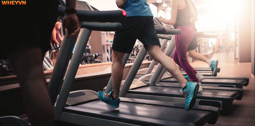 Rất nhiều bạn thắc mắc tập gym có nên chạy bộ? Có nên kết hợp chạy bộ và tập gym? Bài viết dưới đây WheyShop sẽ giúp bạn giải đáp thắc mắc này....