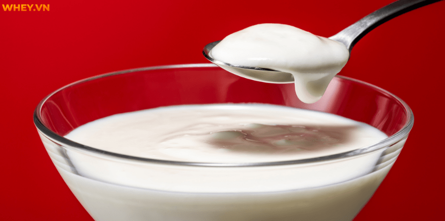 Sữa chua là món tráng miệng mà nhiều người quen thuộc vì những lợi ích mà nó mang lại cho sức khỏe. Sau đây, Whey VN sẽ giải đáp thắc mắc: Ăn sữa chua có béo...