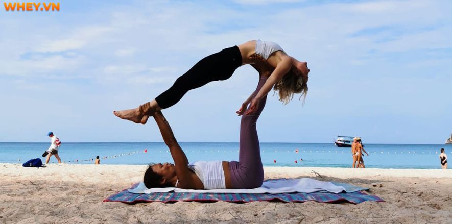 Hình thức tập Acro Yoga là gì? Bài viết này Wheyhop sẽ giúp bạn tìm hiểu chi tiết hơn về Acro Yoga và 5 tư thế Acro Yoga cho người mới bắt đầu...