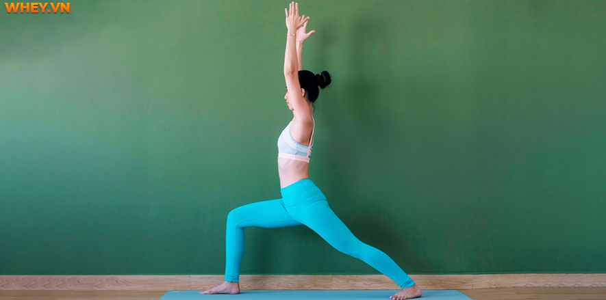Asana là gì? Bài viết này Wheyshop sẽ chia sẻ tất tần tật về Asana trong Yoga cho người mới tập, mẹo giúp bạn tập các asana một cách chính xác và hiệu quả...