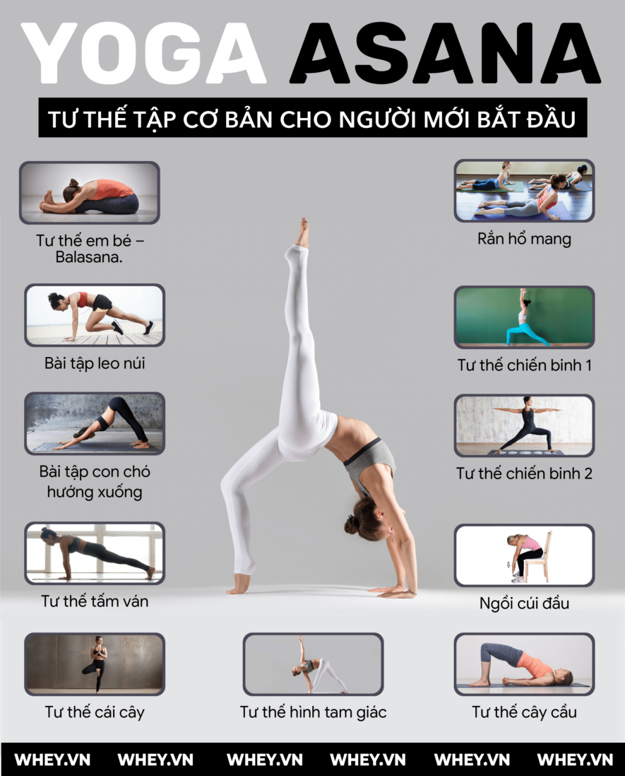 asana-la-gi-tat-tan-tat-ve-asana-trong-yoga(1)