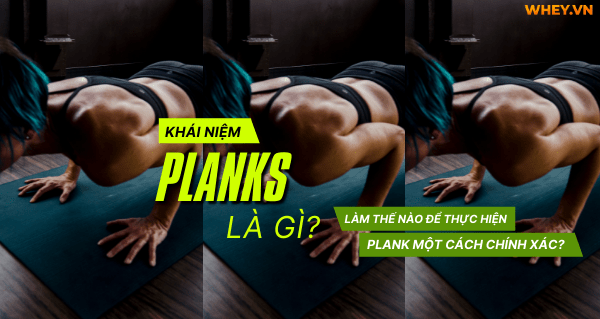 Khái niệm Planks là gì? Làm thế nào để thực hiện plank một cách chính xác?