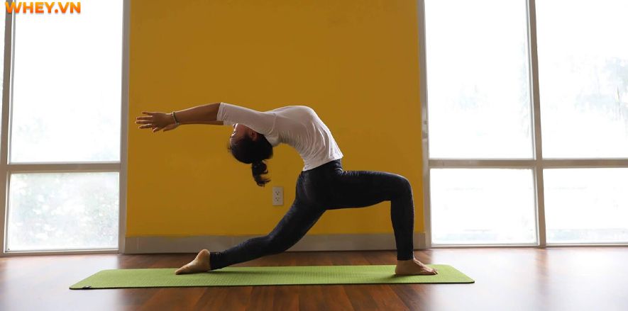 Tại sao cần có thảm yoga? Thảm tập yoga loại nào tốt? Bài viết này WheyShop sẽ giúp bạn giải đáp thắc mắc cũng như giới thiệu Top 13 thảm yoga tốt nhất hiện nay...