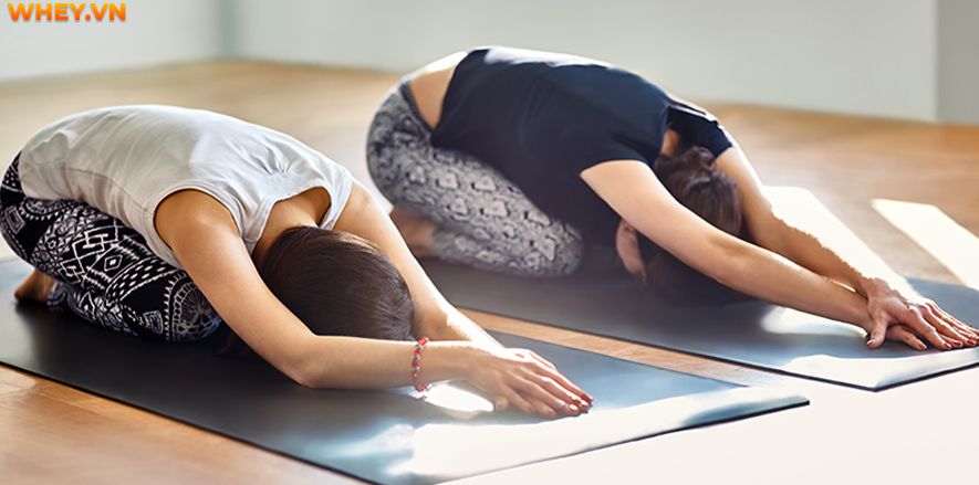 Cách chọn thảm tập yoga tốt như thế nào? Mời các bạn cùng tham khảo 6 Cách chọn thảm tập yoga tốt nhất và Top 5 thảm tập yoga nhiều người sử dụng nhất hiện nay...