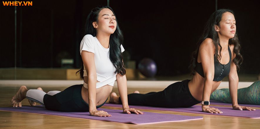 Bài viết này, Wheyshop gửi đến bạ đọc nguyên tắc tập yoga giảm mỡ bụng dưới tại nhà và Top 20 bài tập yoga giảm mỡ bụng dưới tập tại nhà cho chị em văn phòng...