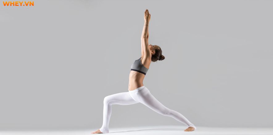 Bài viết này, Wheyshop gửi đến bạ đọc nguyên tắc tập yoga giảm mỡ bụng dưới tại nhà và Top 20 bài tập yoga giảm mỡ bụng dưới tập tại nhà cho chị em văn phòng...