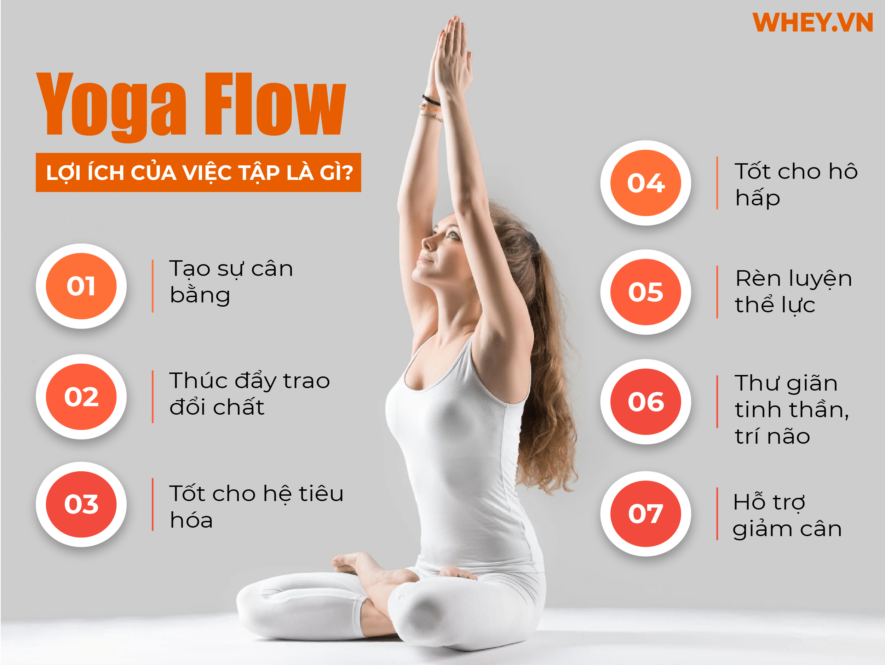 Yoga Flow là gì? Bài viết dưới đây  của Wheyshop sẽ giúp bạn giải đáp câu hỏi này và hướng dẫn chi tiết tập chuỗi  Yoga Flow cho người mới bắt đầu...