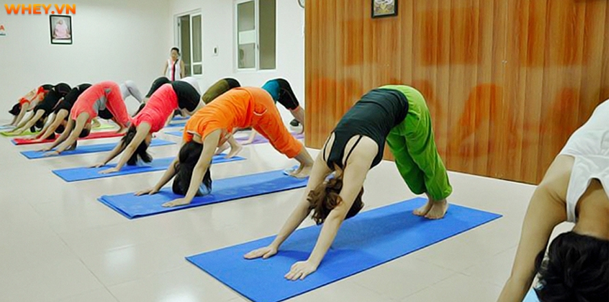 Tham khảo ngay chia sẻ của Wheyshop về top 10 trung tâm, học viện Yoga Việt Nam tại Hà Nội chất lượng và tốt nhất đang đựọc rất nhiều người lựa chọn để luyện tập nhé!