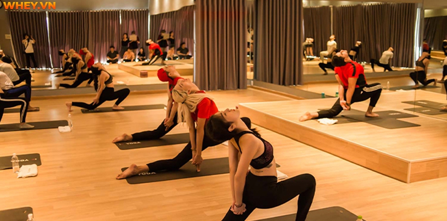 Bài viết này Wheyshop giới thiệu đến bạn 15+ phòng tập yoga TPHCM có chất lượng tốt, người hướng dẫn có chuyên môn, trình độ chuyên môn cao....