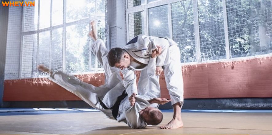 Bài viết này Wheyshop sẽ giúp bạn giải đáp các thắc mắc về Judo - Bộ môn võ thuật số 1 Nhật Bản cùng 5 Bài tập Judo củng cố kỹ năng tốt nhất....