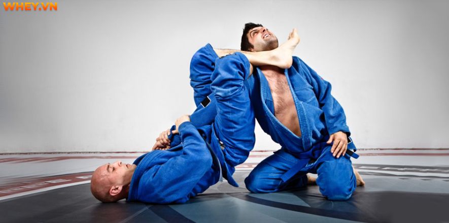 Bài viết này Wheyshop sẽ giúp bạn giải đáp các thắc mắc về Judo - Bộ môn võ thuật số 1 Nhật Bản cùng 5 Bài tập Judo củng cố kỹ năng tốt nhất....