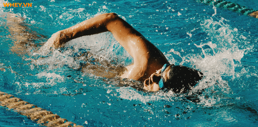 Dưới đây là một số bài học bơi cho người mới bắt đầu với các động tác và kỹ thuật cơ bản dành cho tất cả mọi người, cùng tìm hiểu nhé!
