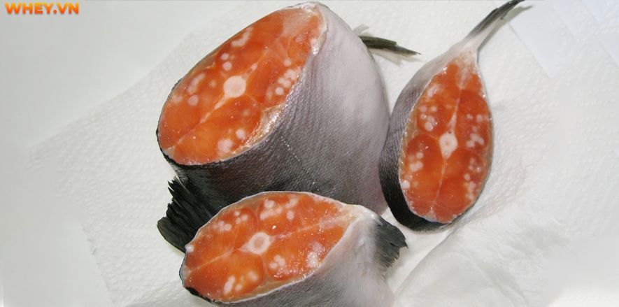 Cá hồi có nhiều lợi ích đối với sức khỏe, là một lựa chọn phổ biến của những người ăn hải sản. Vậy ăn cá hồi sống có tốt không? Cùng Wheyshop tìm hiểu nhé!