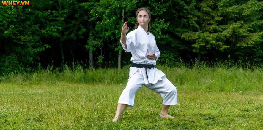 Tương tự như các loại hình tập luyện khác, Karate có những quy tắc cơ bản dành riêng cho môn võ này. Cùng Wheyshop tìm hiểu Karate cơ bản đơn nhé...
