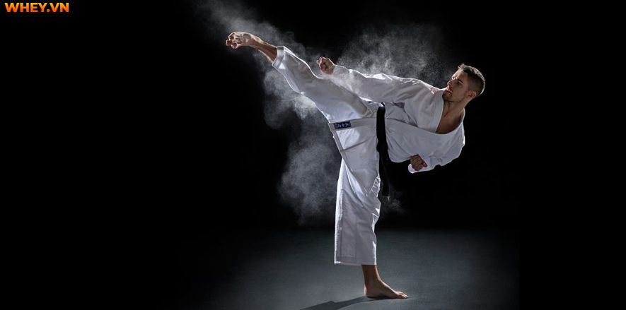 Tương tự như các loại hình tập luyện khác, Karate có những quy tắc cơ bản dành riêng cho môn võ này. Cùng Wheyshop tìm hiểu Karate cơ bản đơn nhé...