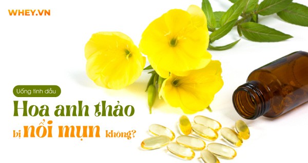 uong-tinh-dau-hoa-anh-thao-bi-noi-mun-khong