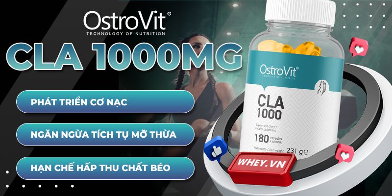 Ostrovit CLA 1000mg là giả pháp hỗ trợ giảm cân an toàn cho người thwuaf cân, béo phì, người mong muốn giảm mỡ phát triển cơ nạc.