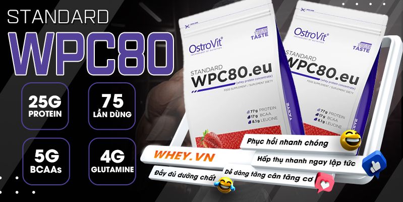 Ostrovit Standard WPC80 bổ sung 100% Whey Protein Concentrate hỗ trợ phát triển cơ bắp. Ostrovit Standard WPC80 nhập khẩu chính hãng, cam kết giá rẻ tốt nhất...