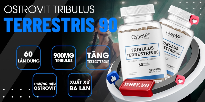 Ostrovit Tribulus Terrestris chưa 60 viên trong 1 hộp , chỉ một viên mỗi ngày Tăng cường testosterone tự nhiên, thúc đẩy lợi tiểu, cho phép bạn loại bỏ độc...