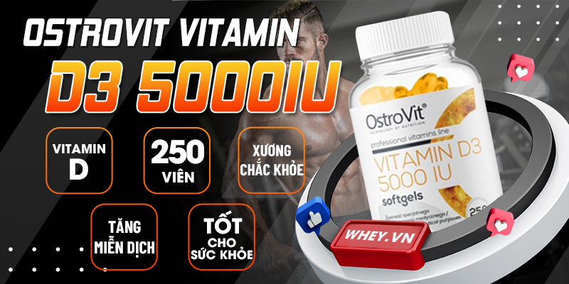 Ostrovit Vitamin D3 5000IU 250 viên ngoiaf bảo vệ xương khớp còn được chứng minh giúp sự gia tăng hormone testosterone khi bổ sung liều vitamin D3 thích hợp...