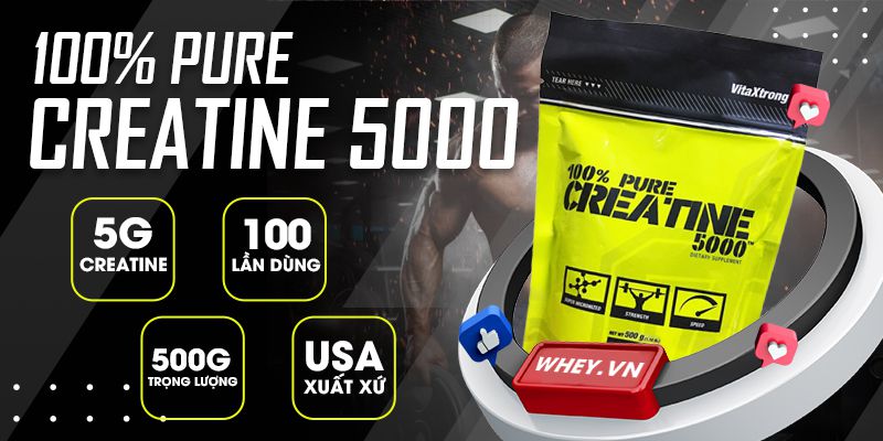 VitaXtrong 100% Pure Creatine 5000 cung cấp 100% Creatine Monohydrate giúp phát triển cơ bắp, tăng sức mạnh và sức bền tối đa. Sản phẩm nhập khẩu chính hãng,...